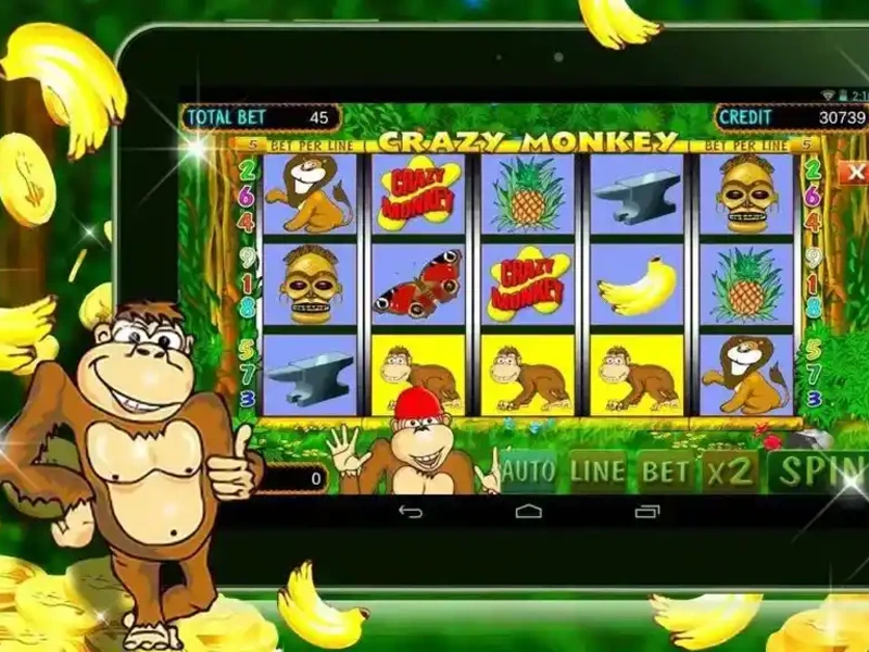 Crazy Monkey